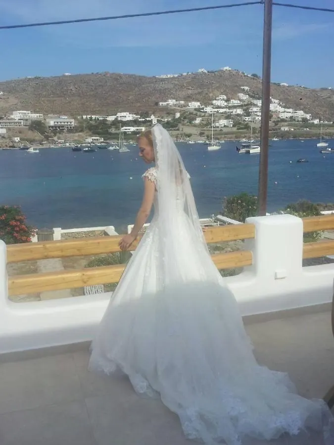 Pursue Your Day Dreams Ornos  Villa